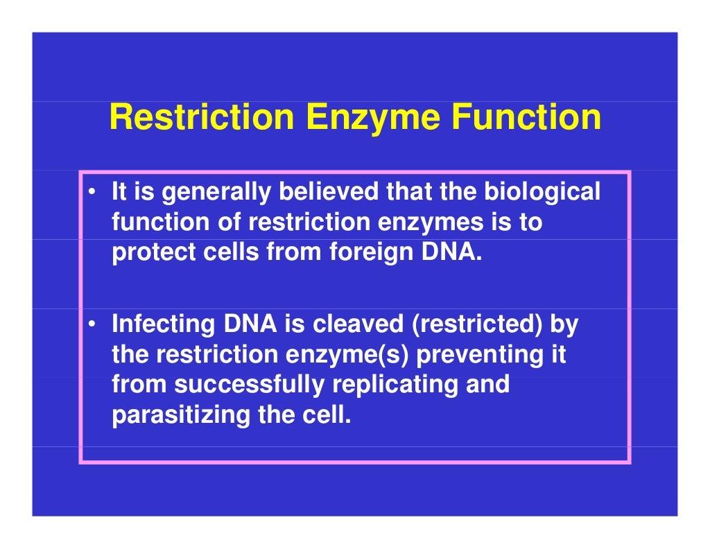 Restricted function. Function of restriction enzymes. restriction enzymes a history.