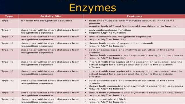 Restriction enzyme