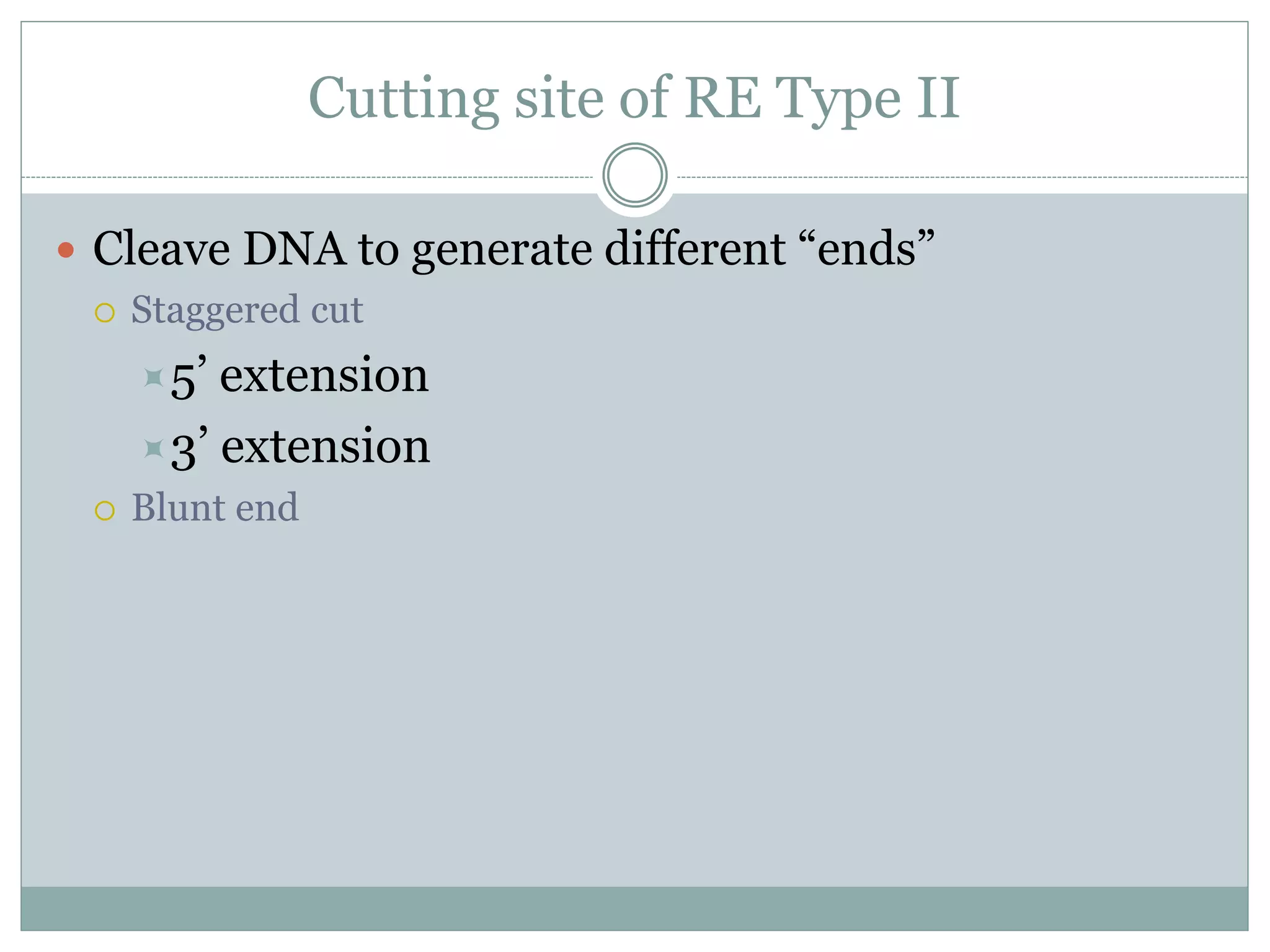 Cutting site of RE Type II
 Cleave DNA to generate different “ends”
 Staggered cut
5’ extension
3’ extension
 Blunt end
 