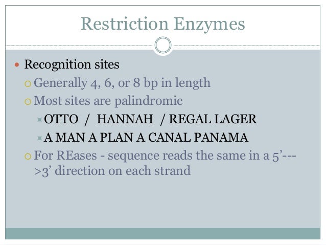 restriction enzyme digestion