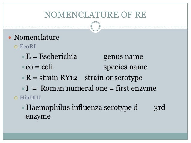 restriction enzyme digestion