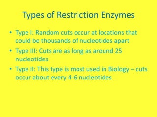 Types of Restriction Enzymes
• Type I: Random cuts occur at locations that
  could be thousands of nucleotides apart
• Type III: Cuts are as long as around 25
  nucleotides
• Type II: This type is most used in Biology – cuts
  occur about every 4-6 nucleotides
 