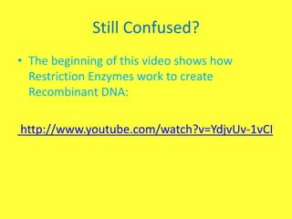 Still Confused?
• The beginning of this video shows how
  Restriction Enzymes work to create
  Recombinant DNA:

http://www.youtube.com/watch?v=YdjvUv-1vCI
 