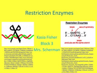 Restriction Enzymes



                                                 Kasia Fisher
                                                   Block 3
http://www.google.com/imgres?num=10&um=1
&hl=en&biw=1015&bih=738&tbm=isch&tbnid
=rM0HwLq8CPQYRM:&imgrefurl=http://ww
                                                Mrs. Scherman   http://www.google.com/imgres?start=34&num=10&u
                                                                m=1&hl=en&biw=1015&bih=738&tbm=isch&tbnid
                                                                =13XaF82AY5mieM:&imgrefurl=http://mol-
w.simzymes.com/index.php%3Fmain_page%3                          biol4masters.masters.grkraj.org/html/Genetic_Engine
Dindex%26cPath%3D11000_11500&docid=us-                          ering1B-Molecular_Tools-
welDov7Xk6M&imgurl=http://www.simzymes.                         Restriction_Enzymes.htm&docid=1w2C5_dAjGkvw
com/images//categories/restrictionEnzymes.gif                   M&imgurl=http://mol-
&w=320&h=240&ei=0pO9T9PhGc_16gHh2Ih                             biol4masters.masters.grkraj.org/html/Genetic_Engine
Z&zoom=1&iact=rc&dur=309&sig=103128700                          ering1B-Molecular_Tools-
879282556508&sqi=2&page=1&tbnh=120&tbn                          Restriction_Enzymes_files/image001.gif&w=346&h
w=160&start=0&ndsp=15&ved=1t:429,r:11,s:0,                      =257&ei=upS9T53_JqaO6gGXpp1S&zoom=1&iact
i:169&tx=110&ty=62                                              =rc&dur=334&sig=103128700879282556508&page
                                                                =3&tbnh=158&tbnw=234&ndsp=17&ved=1t:429,r:3
                                                                ,s:34,i:54&tx=85&ty=121
 