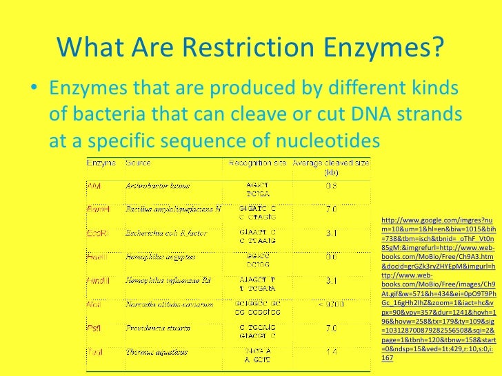 Restriction enzymes