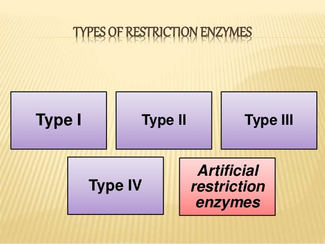 Restriction Enzymes Used In Nature Restriction Enzymes Used In Nature