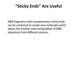 “Sticky Ends” Are Useful
DNA fragments with complimentary sticky ends
can be combined to create new molecules which
allows the creation and manipulation of DNA
sequences from different sources.
 