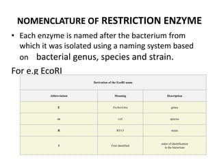 NOMENCLATURE OF RESTRICTION ENZYME
• Each enzyme is named after the bacterium from
which it was isolated using a naming system based
on bacterial genus, species and strain.
For e.g EcoRI
Derivation of the EcoRI name
Abbreviation Meaning Description
E Escherichia genus
co coli species
R RY13 strain
I First identified
order of identification
in the bacterium
 