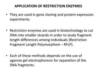 APPLICATION OF RESTRICTION ENZYMES
• They are used in gene cloning and protein expression
experiments.
• Restriction enzymes are used in biotechnology to cut
DNA into smaller strands in order to study fragment
length differences among individuals (Restriction
Fragment Length Polymorphism – RFLP).
• Each of these methods depends on the use of
agarose gel electrophoresis for separation of the
DNA fragments.
 