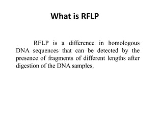 RFLP is a difference in homologous
DNA sequences that can be detected by the
presence of fragments of different lengths after
digestion of the DNA samples.
What is RFLP
 