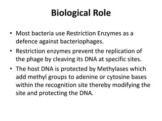 Biological Role
• Most bacteria use Restriction Enzymes as a
defence against bacteriophages.
• Restriction enzymes prevent the replication of
the phage by cleaving its DNA at specific sites.
• The host DNA is protected by Methylases which
add methyl groups to adenine or cytosine bases
within the recognition site thereby modifying the
site and protecting the DNA.
 