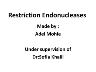 Restriction Endonucleases
Made by :
Adel Mohie
Under supervision of
Dr:Sofia Khalil
 