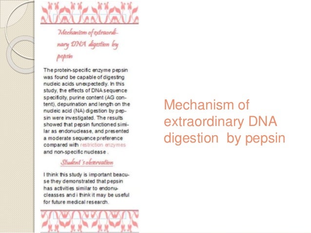 restriction enzyme noti restriction enzyme noti