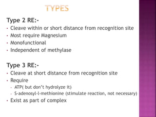 Type 2 RE:-
• Cleave within or short distance from recognition site
• Most require Magnesium
• Monofunctional
• Independent of methylase
Type 3 RE:-
• Cleave at short distance from recognition site
• Require
• ATP( but don’t hydrolyze it)
• S-adenosyl-l-methionine (stimulate reaction, not necessary)
• Exist as part of complex
 