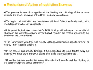 ◘ Mechanism of Action of restriction Enzymes
The process is one of recognition of the binding site , binding of the enzyme
dimer to the DNA , cleavage of the DNA , and enzyme release .
To begin , all restriction endonucleases will bind DNA specifically and , with
much less strength , non-specifically .
It is probable that even non-specific DNA binding will induce a conformational
change in the restriction enzyme dimer that will result in the protein adapting to the
surface of the DNA strands .
The Homodimer will either bind directly to the recognition site(specific binding) or
nearby ( non- specific binding )
In the case of non-specific binding , if the recognition site is not too far away the
enzyme will move along the DNA strand until it hits the recognition site .
Once the enzyme locates the recognition site it will couple and then hydrolyze
the sugar phosphate bonds of the DNA .
 