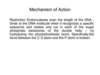 Mechanism of Action
Restriction Endonuclease scan the length of the DNA ,
binds to the DNA molecule when it recognizes a specific
sequence and makes one cut in each of the sugar
phosphate backbones of the double helix – by
hydrolyzing the phoshphodiester bond. Specifically,the
bond between the 3’ O atom and the P atom is broken.
 