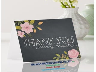 Restriction enzymes genetic enginering