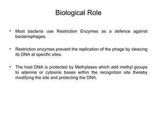 Biological Role
• Most bacteria use Restriction Enzymes as a defence against
bacteriophages.
• Restriction enzymes prevent the replication of the phage by cleaving
its DNA at specific sites.
• The host DNA is protected by Methylases which add methyl groups
to adenine or cytosine bases within the recognition site thereby
modifying the site and protecting the DNA.
 