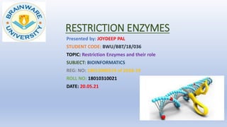 RESTRICTION ENZYMES
Presented by: JOYDEEP PAL
STUDENT CODE: BWU/BBT/18/036
TOPIC: Restriction Enzymes and their role
SUBJECT: BIOINFORMATICS
REG: NO: 18013000519 of 2018-19
ROLL NO: 18010310021
DATE: 20.05.21
 
