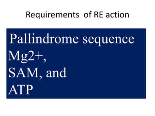 Requirements of RE action
Pallindrome sequence
Mg2+,
SAM, and
ATP
 