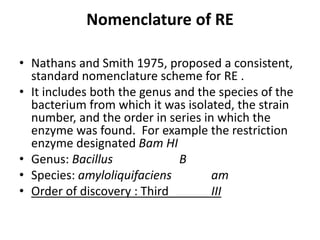 Nomenclature of RE
• Nathans and Smith 1975, proposed a consistent,
standard nomenclature scheme for RE .
• It includes both the genus and the species of the
bacterium from which it was isolated, the strain
number, and the order in series in which the
enzyme was found. For example the restriction
enzyme designated Bam HI
• Genus: Bacillus B
• Species: amyloliquifaciens am
• Order of discovery : Third III
 
