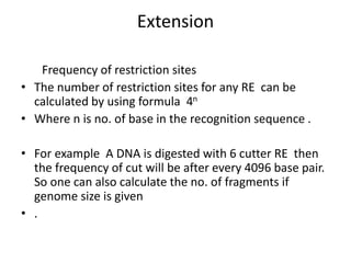 Extension
Frequency of restriction sites
• The number of restriction sites for any RE can be
calculated by using formula 4n
• Where n is no. of base in the recognition sequence .
• For example A DNA is digested with 6 cutter RE then
the frequency of cut will be after every 4096 base pair.
So one can also calculate the no. of fragments if
genome size is given
• .
 