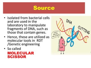 Source
• Isolated from bacterial cells
and are used in the
laboratory to manipulate
fragments of DNA, such as
those that contain genes.
• Hence, these are utilized as
molecular tools in RDT
/Genetic engineering
• So called
MOLECULAR
SCISSOR
 