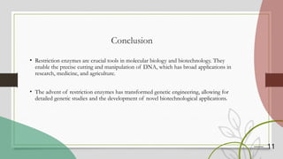 11
Conclusion
• Restriction enzymes are crucial tools in molecular biology and biotechnology. They
enable the precise cutting and manipulation of DNA, which has broad applications in
research, medicine, and agriculture.
• The advent of restriction enzymes has transformed genetic engineering, allowing for
detailed genetic studies and the development of novel biotechnological applications.
 