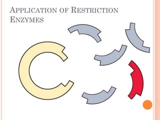 APPLICATION OF RESTRICTION ENZYMES  