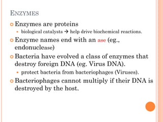 ENZYMES 
Enzymes are proteins 
biological catalysts  help drive biochemical reactions. 
Enzyme names end with an ase (eg., endonuclease) 
Bacteria have evolved a class of enzymes that destroy foreign DNA (eg. Virus DNA). 
protect bacteria from bacteriophages (Viruses). 
Bacteriophages cannot multiply if their DNA is destroyed by the host.  