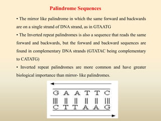 • The mirror like palindrome in which the same forward and backwards
are on a single strand of DNA strand, as in GTAATG
• The Inverted repeat palindromes is also a sequence that reads the same
forward and backwards, but the forward and backward sequences are
found in complementary DNA strands (GTATAC being complementary
to CATATG)
• Inverted repeat palindromes are more common and have greater
biological importance than mirror- like palindromes.
Palindrome Sequences
 