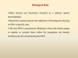 Most bacteria use Restriction Enzymes as a defence against
bacteriophages.
Restriction enzymes prevent the replication of the phage by cleaving
its DNA at specific sites.
The host DNA is protected by Methylases which add methyl groups
to adenine or cytosine bases within the recognition site thereby
modifying the site and protecting the DNA.
Biological Role
 