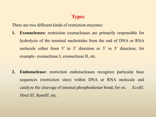Types
There are two different kinds of restriction enzymes:
1. Exonucleases: restriction exonucleases are primarily responsible for
hydrolysis of the terminal nucleotides from the end of DNA or RNA
molecule either from 5’ to 3’ direction or 3’ to 5’ direction; for
example- exonuclease I, exonuclease II, etc.
2. Endonuclease: restriction endonucleases recognize particular base
sequences (restriction sites) within DNA or RNA molecule and
catalyze the cleavage of internal phosphodiester bond; for ex. EcoRI,
Hind III, BamHI, etc.
 