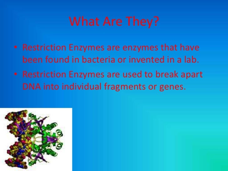 Restriction enzymes powerpoint (1)