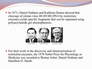 Daniel Dna Restriction Endonuclease: The Molecular Scissor of DNA - By RIKI NATH ...