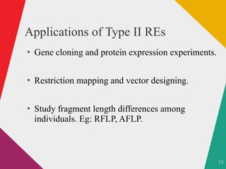 13
Applications of Type II REs
●
Gene cloning and protein expression experiments.
●
Restriction mapping and vector designing.
●
Study fragment length differences among
individuals. Eg: RFLP, AFLP.
 