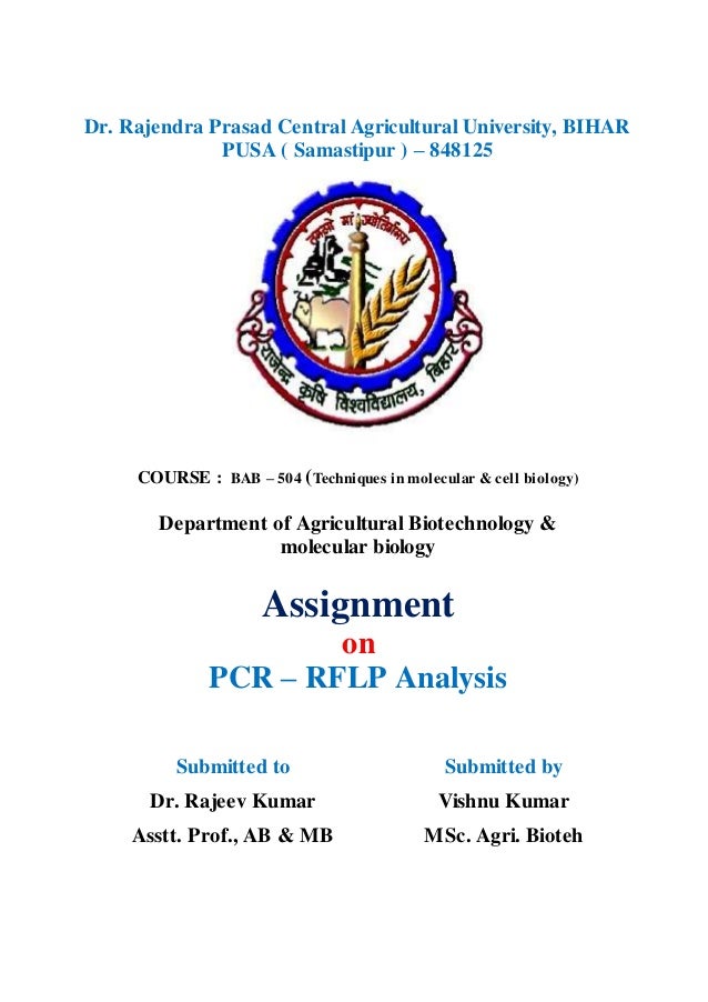 dna extraction pcr protocol dna extraction protocol