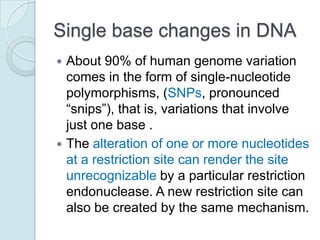 Single base changes in DNA
About 90% of human genome variation
comes in the form of single-nucleotide
polymorphisms, (SNPs, pronounced
“snips”), that is, variations that involve
just one base .
 The alteration of one or more nucleotides
at a restriction site can render the site
unrecognizable by a particular restriction
endonuclease. A new restriction site can
also be created by the same mechanism.


 