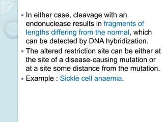 In either case, cleavage with an
endonuclease results in fragments of
lengths differing from the normal, which
can be detected by DNA hybridization.
 The altered restriction site can be either at
the site of a disease-causing mutation or
at a site some distance from the mutation.
 Example : Sickle cell anaemia.


 