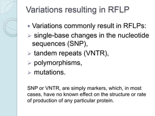 Variations resulting in RFLP
Variations commonly result in RFLPs:
 single-base changes in the nucleotide
sequences (SNP),
 tandem repeats (VNTR),
 polymorphisms,
 mutations.


SNP or VNTR, are simply markers, which, in most
cases, have no known effect on the structure or rate
of production of any particular protein.

 