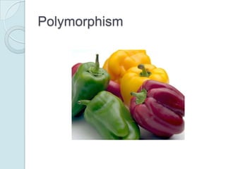 Polymorphism

 