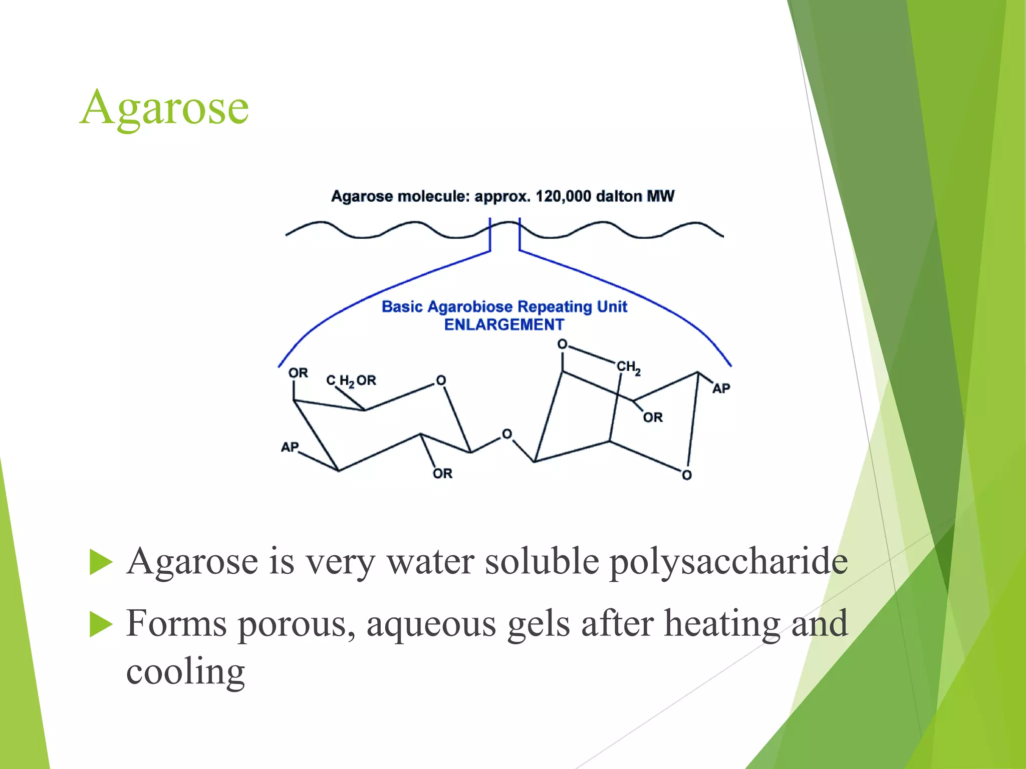 Agarose
 Agarose is very water soluble polysaccharide
 Forms porous, aqueous gels after heating and
cooling
 