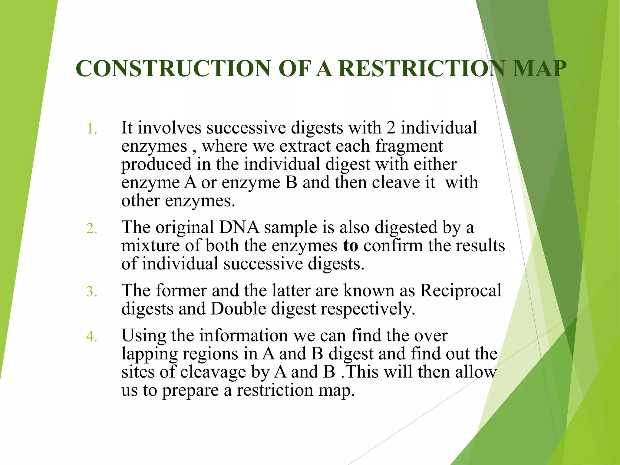CONSTRUCTION OF A RESTRICTION MAP
1. It involves successive digests with 2 individual
enzymes , where we extract each fragment
produced in the individual digest with either
enzyme A or enzyme B and then cleave it with
other enzymes.
2. The original DNA sample is also digested by a
mixture of both the enzymes to confirm the results
of individual successive digests.
3. The former and the latter are known as Reciprocal
digests and Double digest respectively.
4. Using the information we can find the over
lapping regions in A and B digest and find out the
sites of cleavage by A and B .This will then allow
us to prepare a restriction map.
 