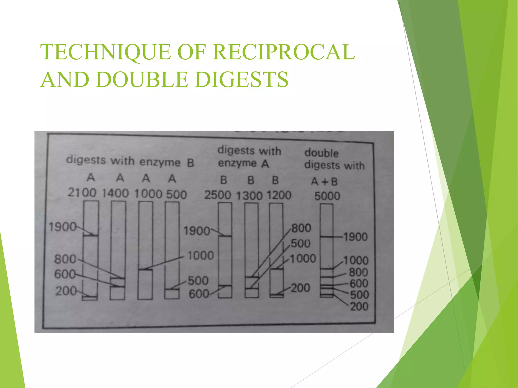 TECHNIQUE OF RECIPROCAL
AND DOUBLE DIGESTS
 