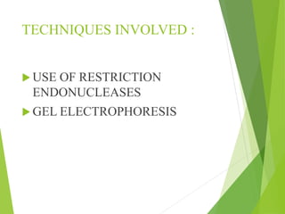 TECHNIQUES INVOLVED :
 USE OF RESTRICTION
ENDONUCLEASES
 GEL ELECTROPHORESIS
 