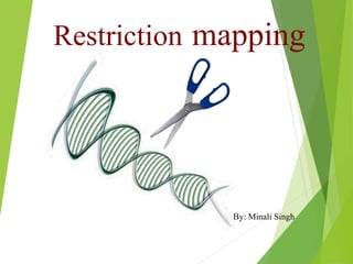 Restriction mapping
By: Minali Singh
 