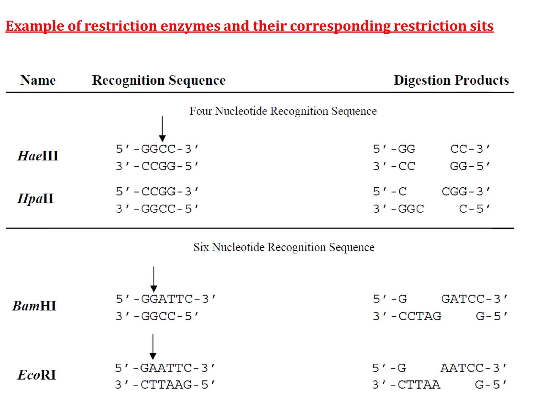 Example of restriction enzymes and their corresponding restriction sits
 