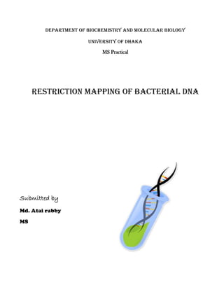 Department of Biochemistry and Molecular Biology
University of Dhaka
MS Practical
Restriction Mapping of Bacterial DNA
Submitted by
Md. Atai rabby
MS
 