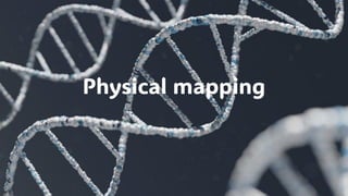 Physical mapping
 