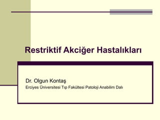 Restriktif Akciğer Hastalıkları


Dr. Olgun Kontaş
Erciyes Üniversitesi Tıp Fakültesi Patoloji Anabilim Dalı
 